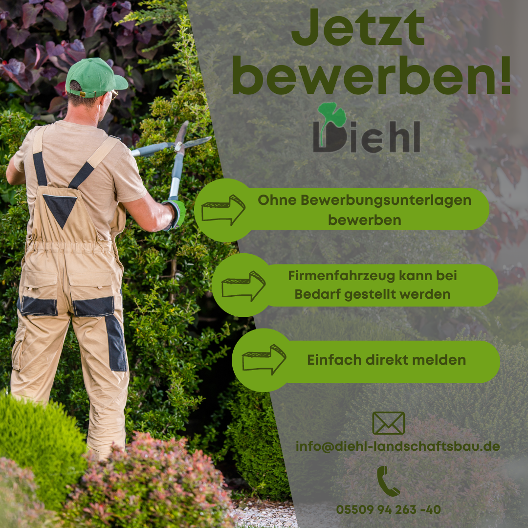 Bewerbung