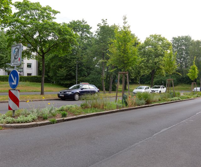 Grünflächenpflege