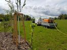 Grünflächenpflege/Baum & Strauchschnitt